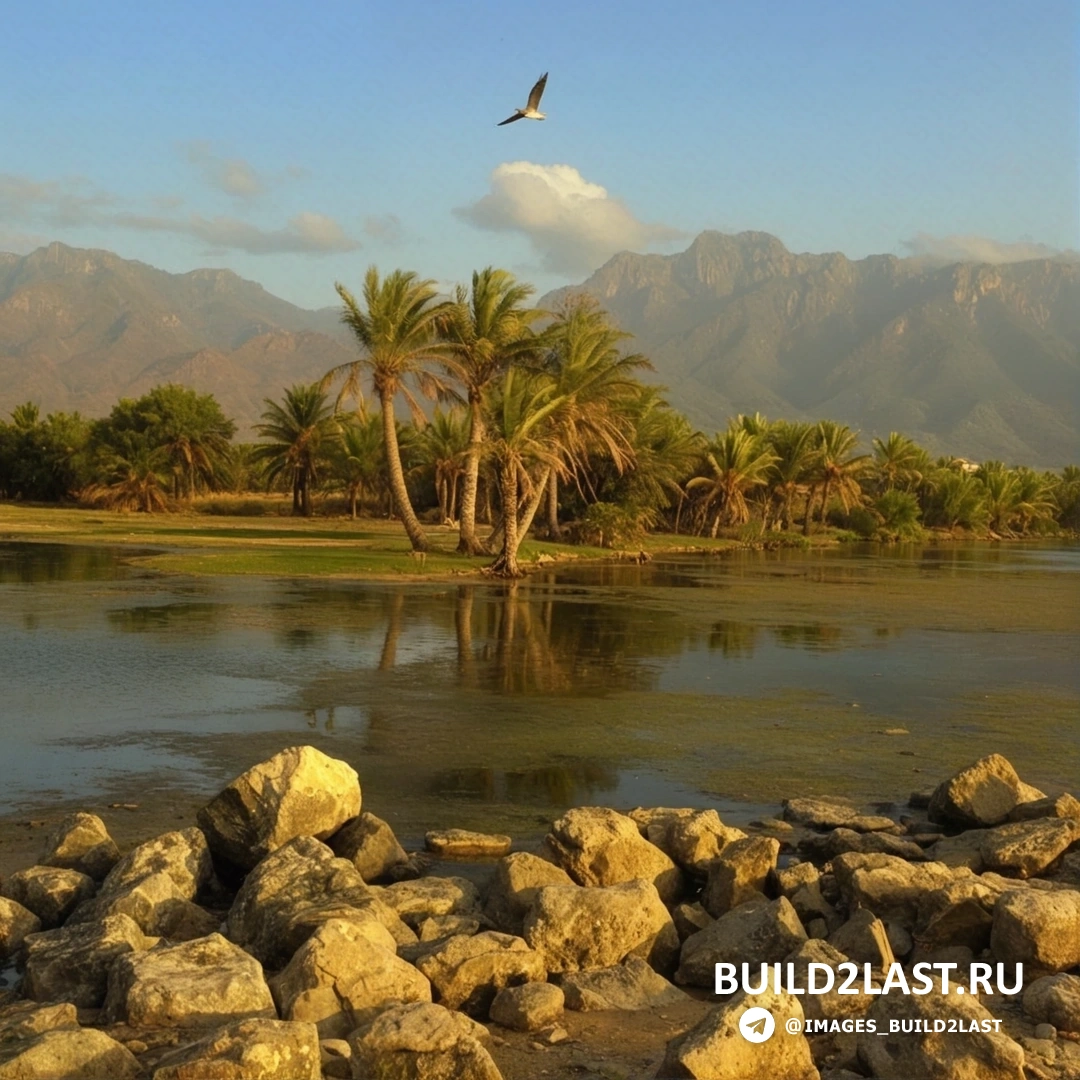 ���� ������� �������, �����. �������� ������� ������ ������� � ��������� ��������.